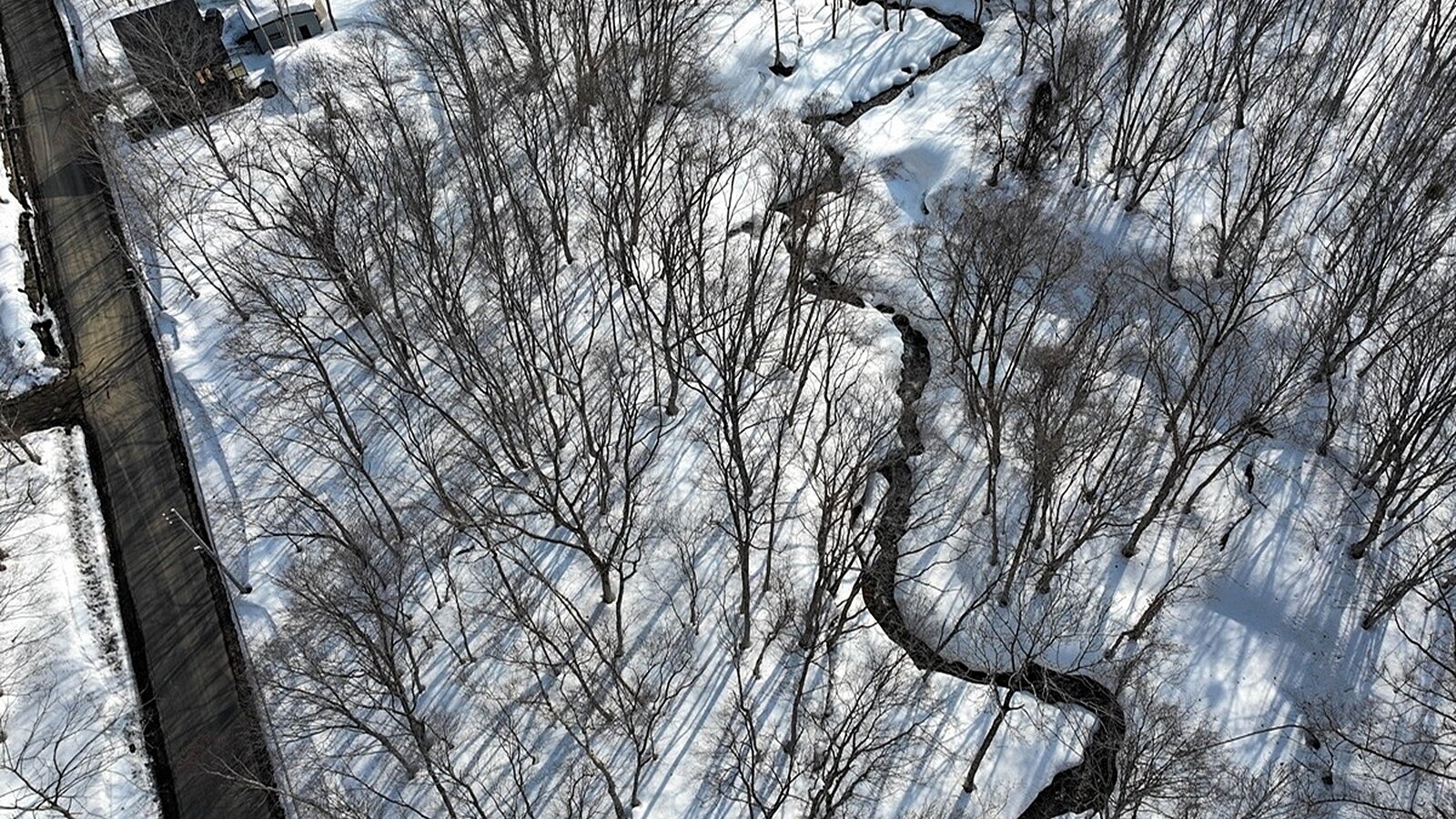 Niseko Realty Moiwa Onsen Land 1
