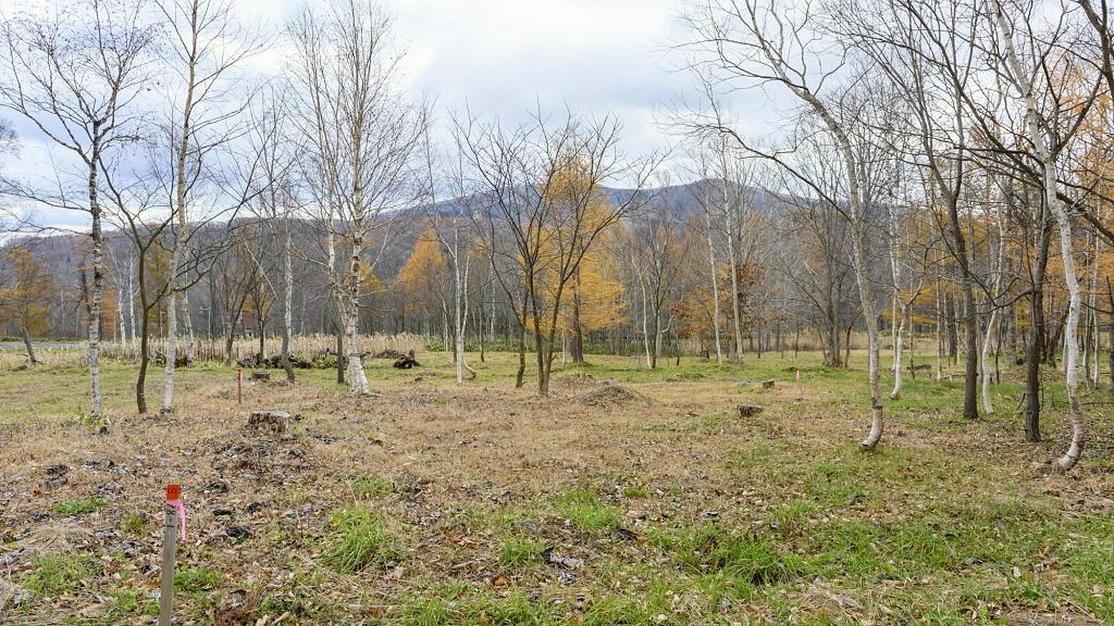 Niseko Realty Rusutsu Land 1024x682