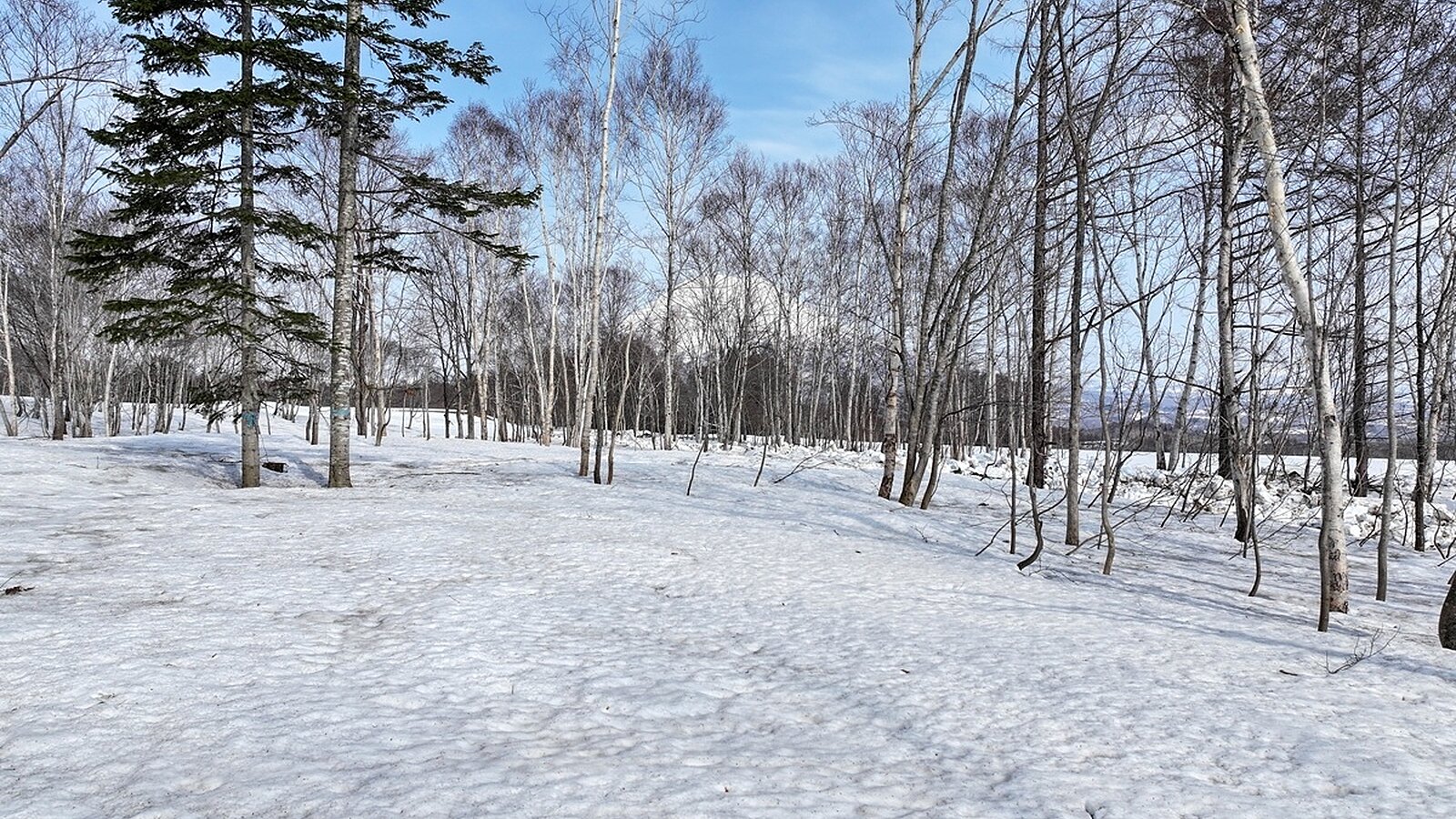 Niseko Realty Soga Meadows 2
