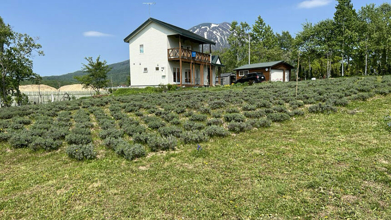 Niseko Herb House1