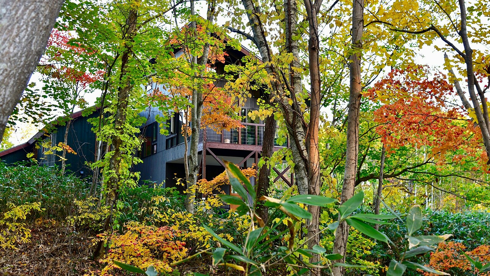 Niseko Soga Barn House1