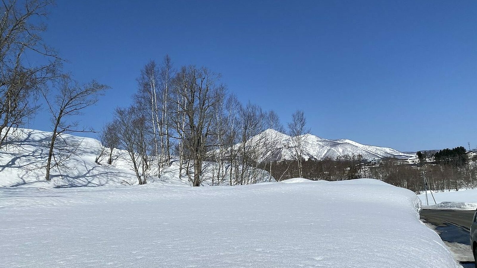 Niseko land 1036 1200x960