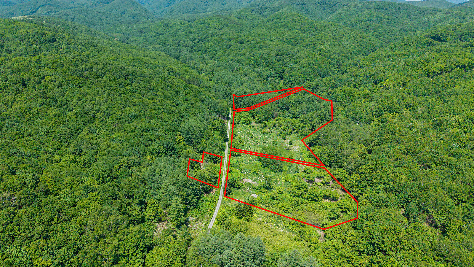 Off Grid Paradise 3 Line