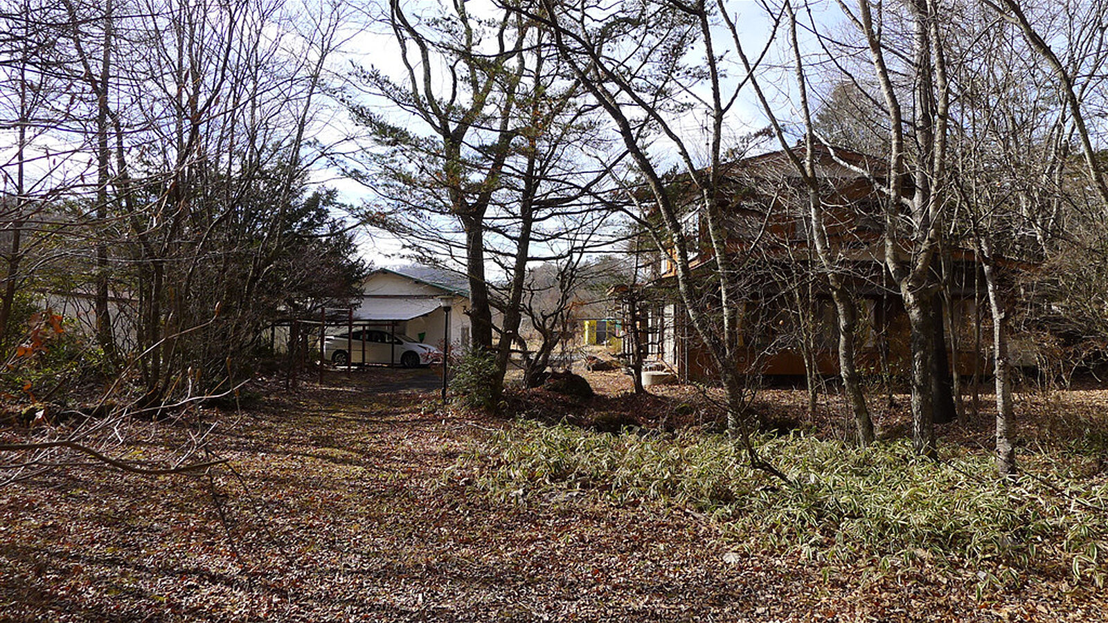 Shiozawa Land1