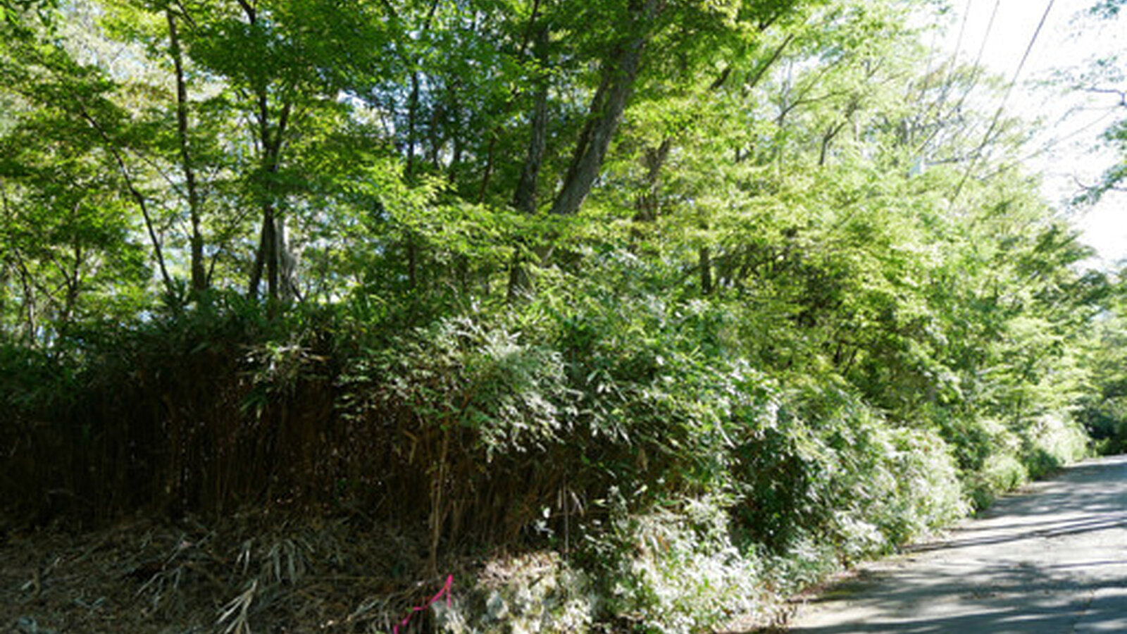 Villa Land in Peaceful Gora Hakone6