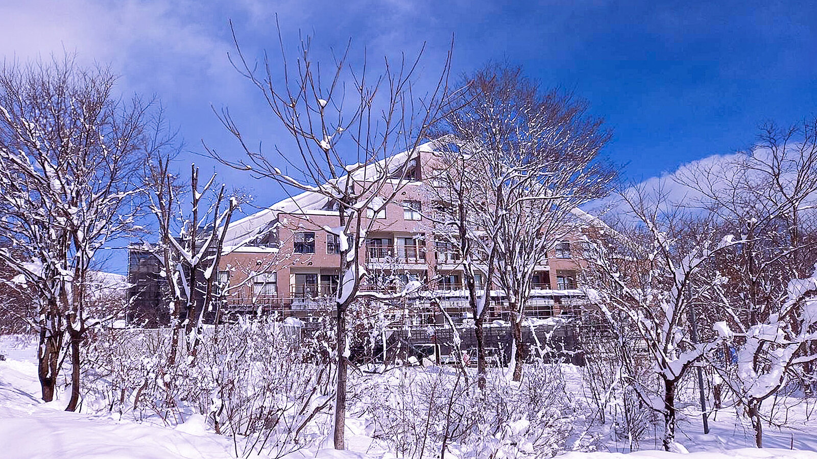 Hakbua tsugaike snow 1