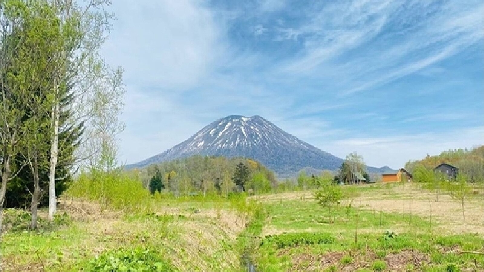 Youtei view