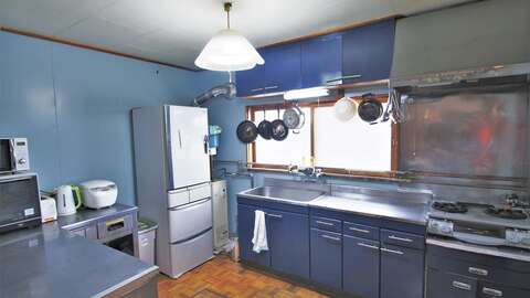 007 Flower Dream kitchen