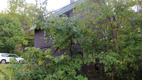 IMG 2621