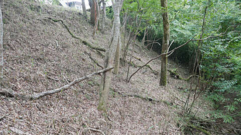 1192 sqm Level Land with Hakone Mountain Views7