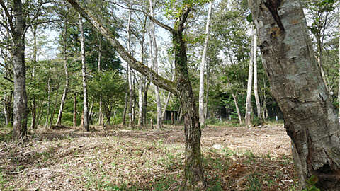 1192 sqm Level Land with Hakone Mountain Views9