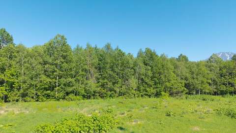 12 Kutchan Corridor 1 8 Ha Development Site