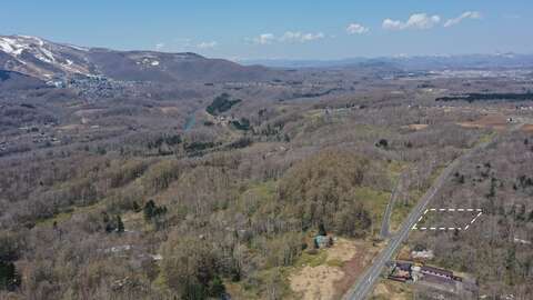 DJI 0124