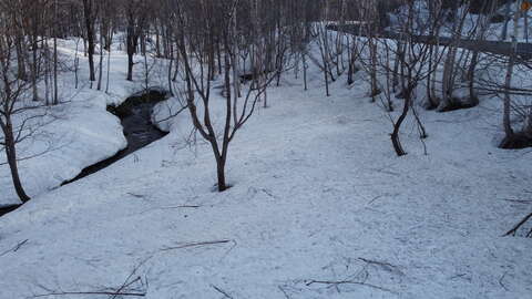 Hanazono Creekside5