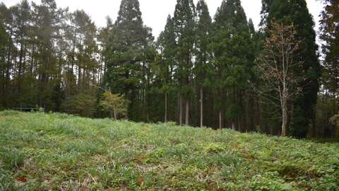 Kurohime Ski Resort Land1