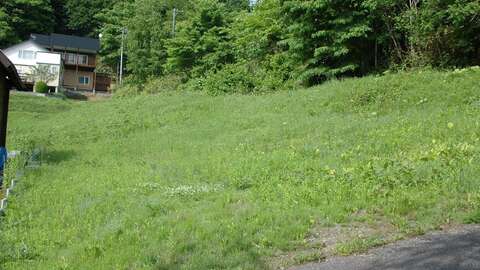 Niseko Realty Lakeview Land Lake Toya 2