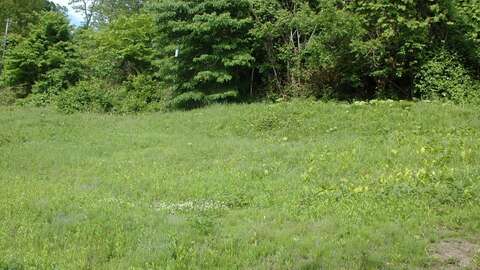 Niseko Realty Lakeview Land Lake Toya 3