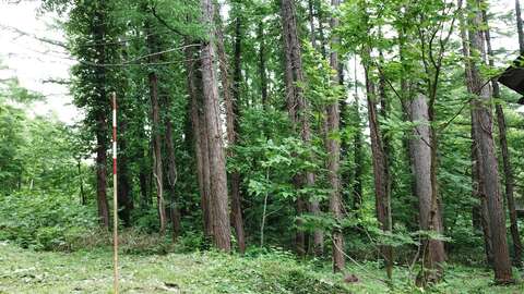 Niseko Reatly Yuno Sato Tranquil Land 3