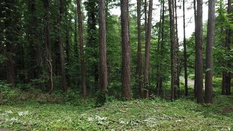 Niseko Reatly Yuno Sato Tranquil Land 4