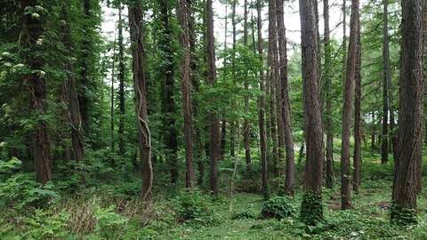 Niseko Reatly Yuno Sato Tranquil Land 6