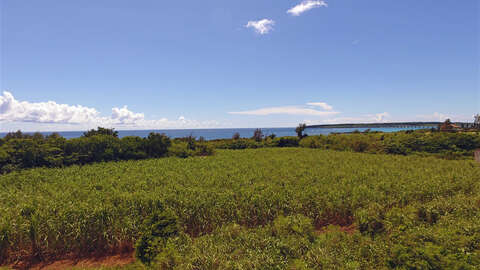 144894 21911 sqm Corner Resort Land Near Emerald Coast Miyako Island6