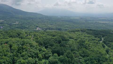 DJI 0700