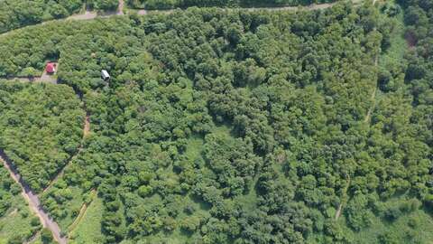 DJI 0712