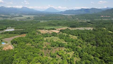 DJI 0057 copy
