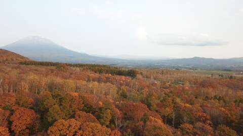 Niseko Realty Annupuri Double Lot 5