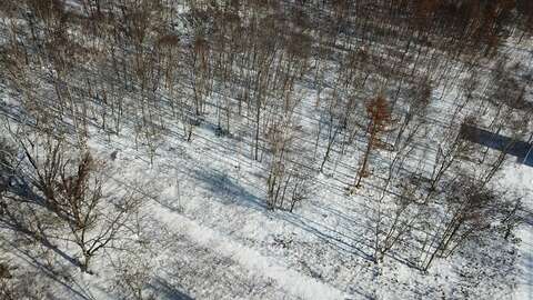 Niseko Realty Annupuri Large Forest Lot 3