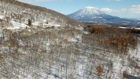 Niseko Realty Annupuri Large Forest Lot 4