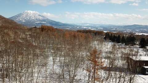 Niseko Realty Annupuri Large Forest Lot 6
