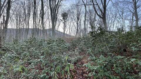 Madarao Slopeside Land8