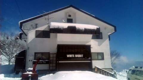 Madarao White Rabbit Wintermain
