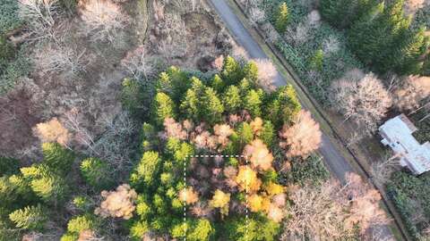 DJI 0294