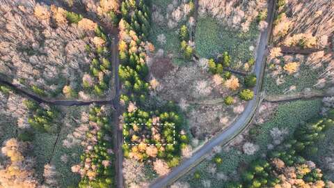 DJI 0299