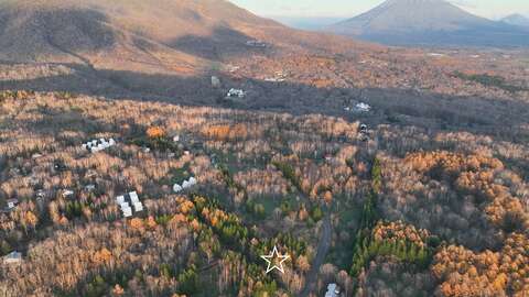 DJI 0300