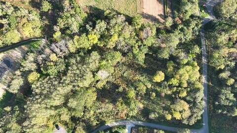 DJI 0055