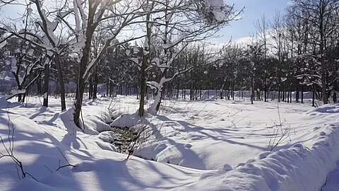 Kabayama Large Land Amidst Mystical Woods 04 835x467