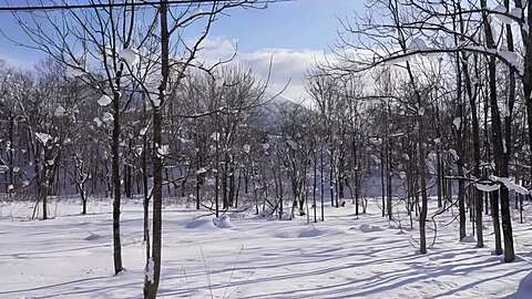 Kabayama Large Land Amidst Mystical Woods 07 835x467