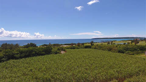 1911 sqm Corner Resort Land Near Emerald Coast Miyako Island5