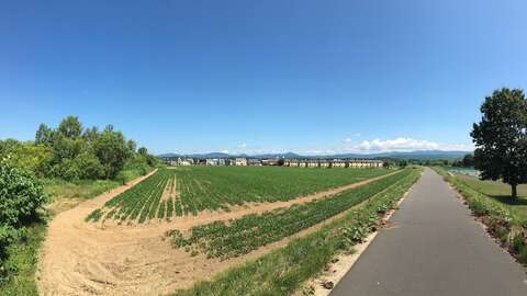 Kutchan Riverside Ground3