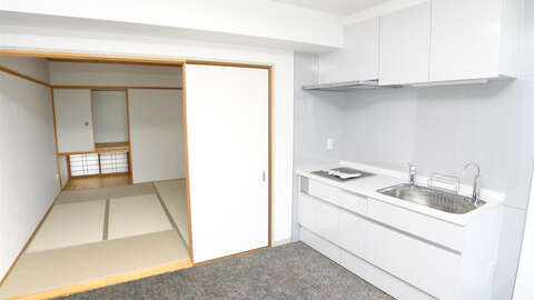 1 BR Apartment with Panoramic Tanabe12