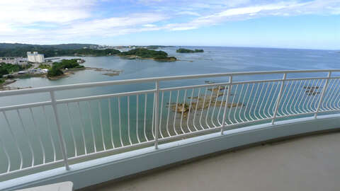 1 BR Apartment with Panoramic Tanabe15