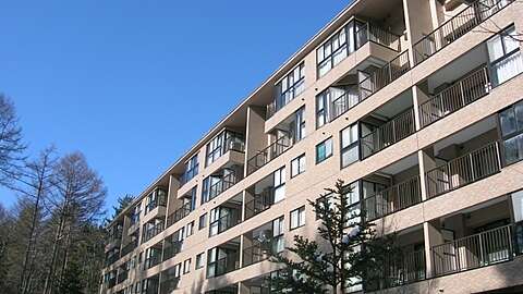1 BR Condo with Service Room2