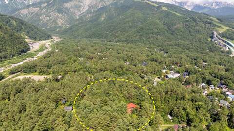 2 Misorano Forest Estate 2026 08 23 024313 zwpy