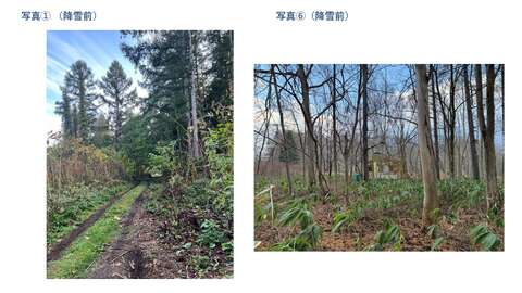 20260321 Orange Area 38 130 128 135他 土地写真 改 page 0005