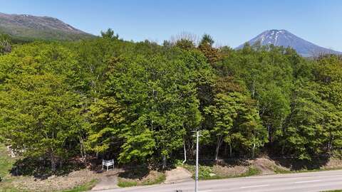 Niseko 349 2 land9