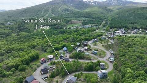DJI 0081