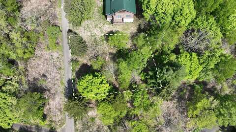 DJI 0005